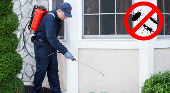 Taraklı Kemirgen İlaçlama böcek ilaçlama ve haşere kontrolü — ilaclama-tr.com